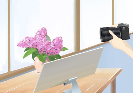 Illustration showing a setup with a white board used as a board reflector set in a smartphone stand placed between flowers on a windowsill, bathed in natural light, and the camera
