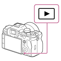 Illustration indicating the playback button and showing how to play back recorded images
