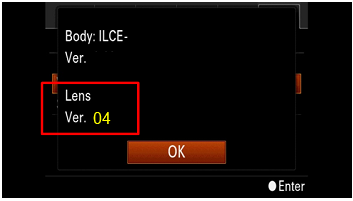 The version will be displayed in the center of the screen.