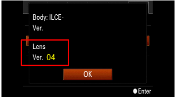 The version will be displayed in the center of the screen.