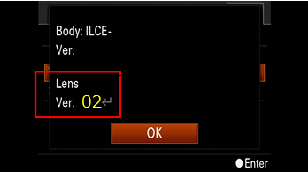 The version will be displayed in the center of the screen.