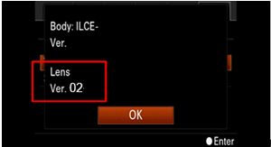 The version will be displayed in the center of the screen.