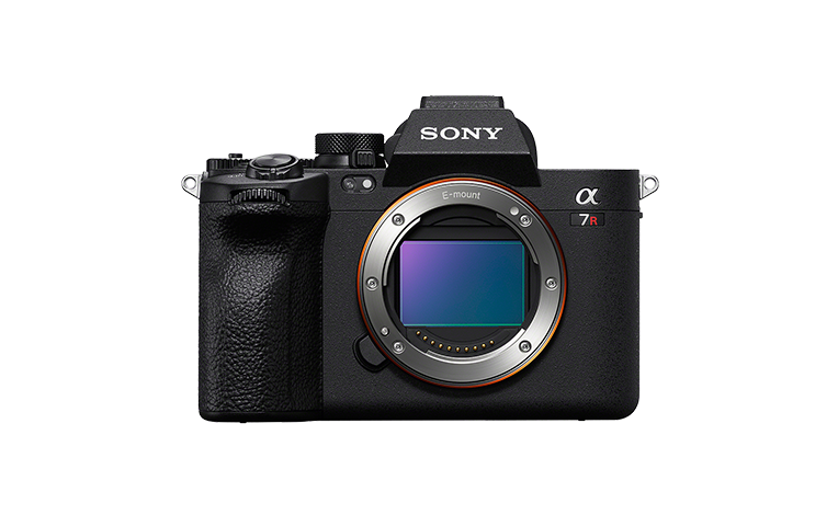 Interchangeable-lens Cameras | Sony South Africa