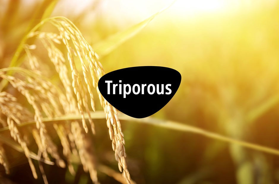 Triporous