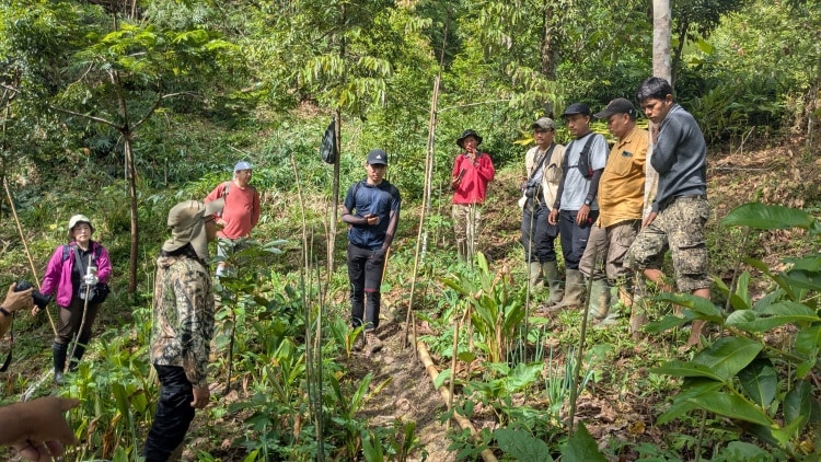 Stakeholders observing a newly established Synecoculture field, where various crops have grown to knee height.