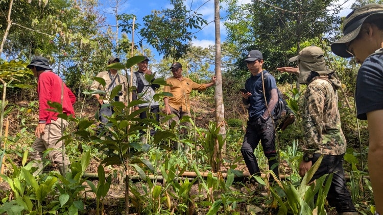 Stakeholders observing a newly established Synecoculture field, where various crops have grown to knee height.