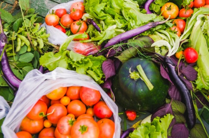Image showing a variety of harvested vegetables