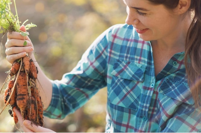 Woman inspecting bunch of harvested carrots