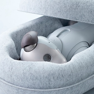 aibo gently held in a package using recycled plastic bottle materials