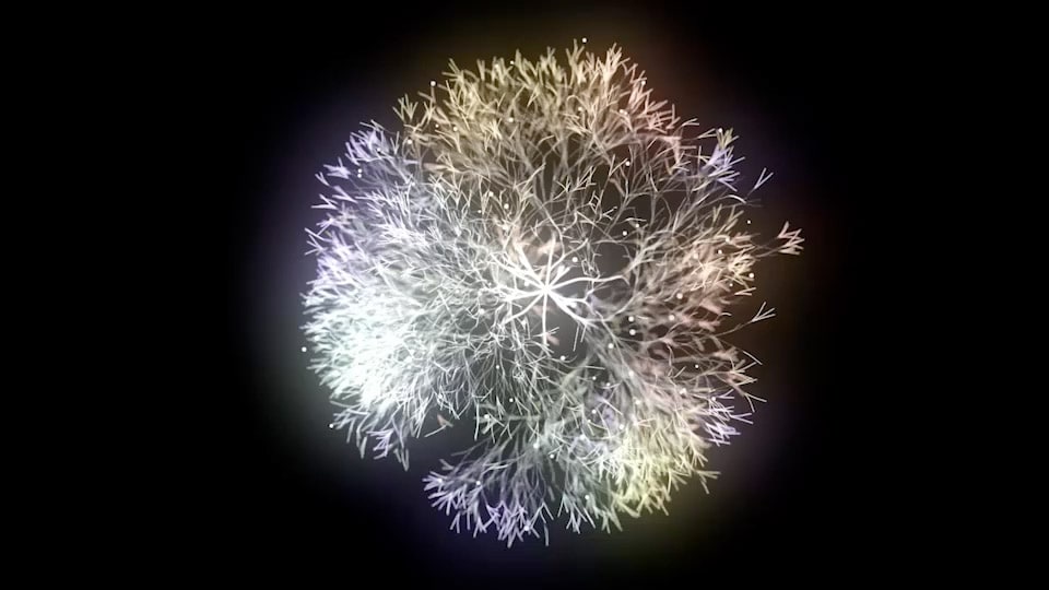 User interface of the Life Simulator