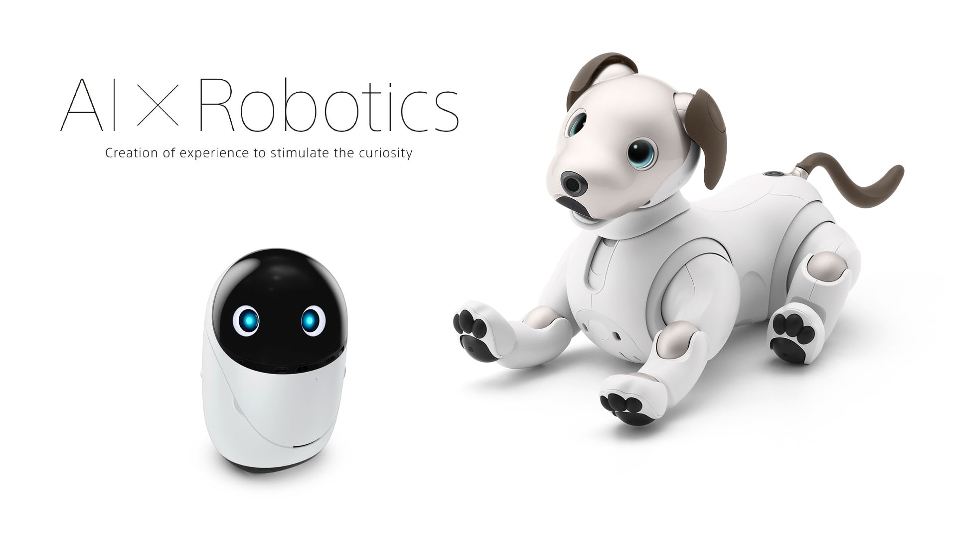 Cooperation of autonomous entertainment robots (aibo and poiq)