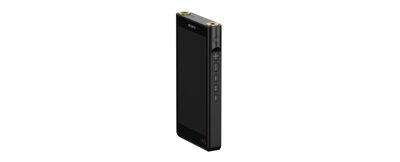 Yii様専用 SONY WALKMAN NW-WM1AM2 WM1AM2 | Sony Walkman