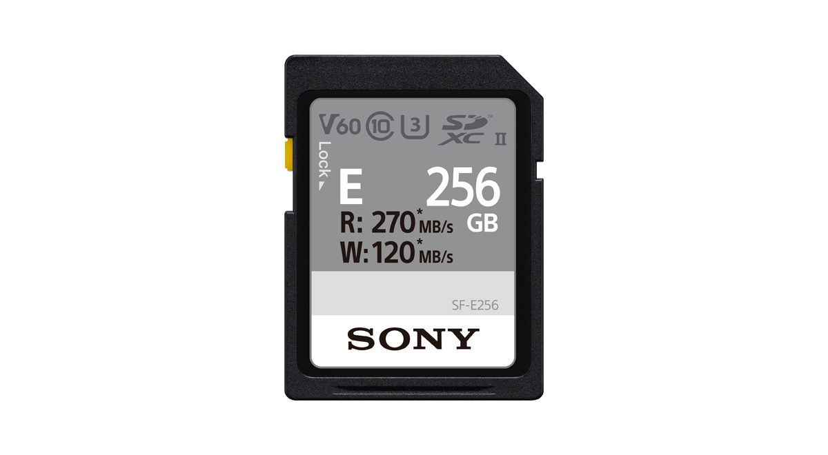 UHS-II E series 256GB
