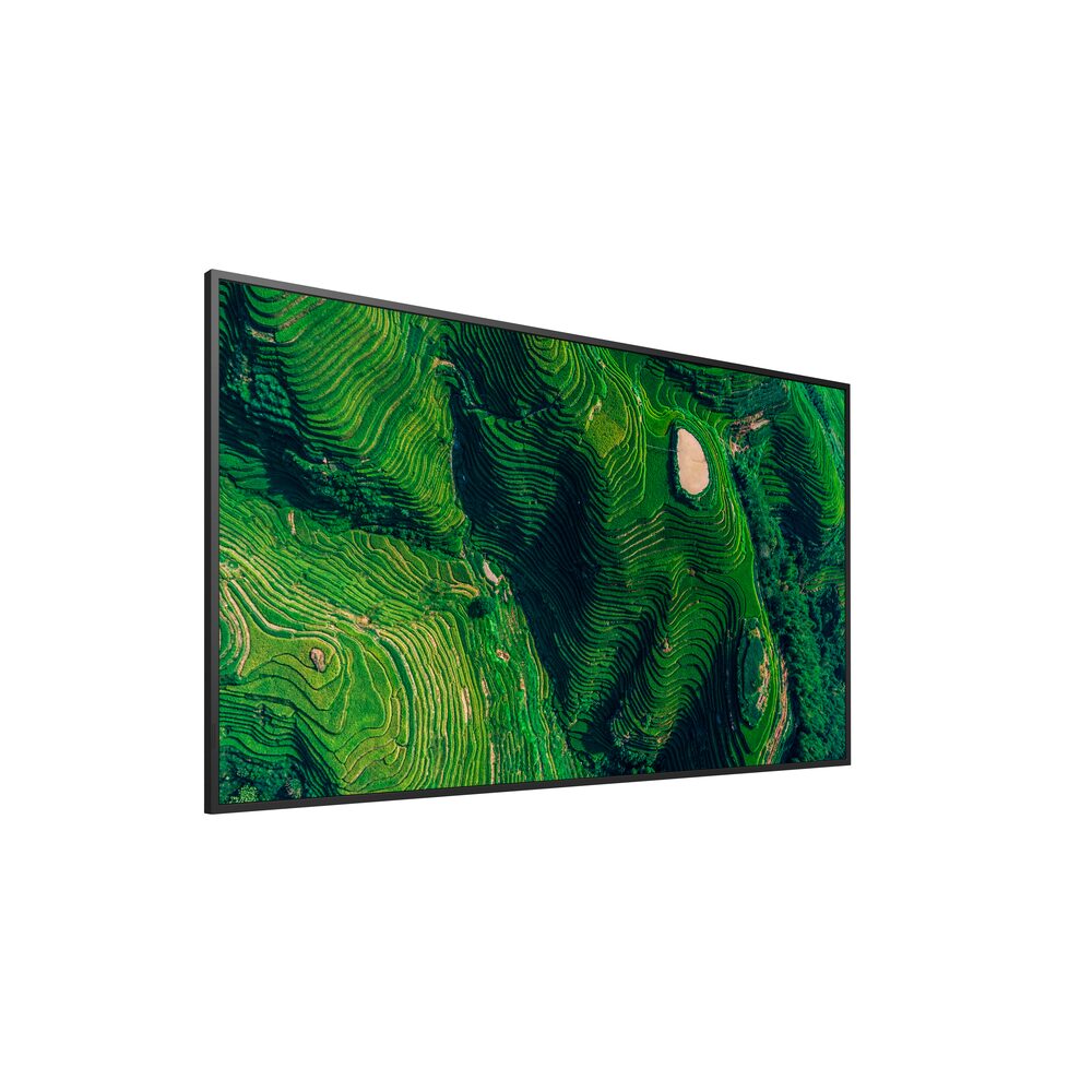 FW-55BZ35P Professional Display - Sony Pro