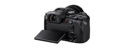 RX10 V with 24–600 mm Zoom, 20.1MP and 30fps Burst shooting | Sony