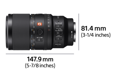 FE 100mm F2.8 Macro GM OSS | SEL100M28GM | Sony Oman