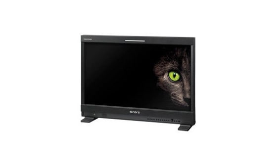 Image of the following product: PVM-2541