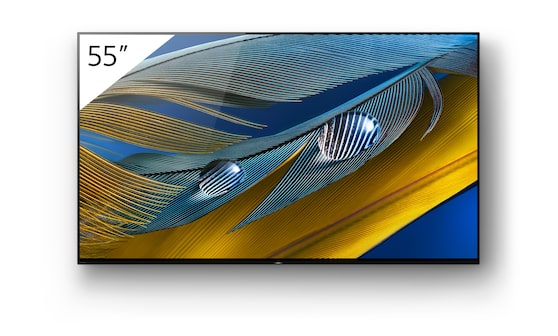 FWD-55A80J 55'' BRAVIA MASTER Series 4K Ultra HD, HDR, OLED