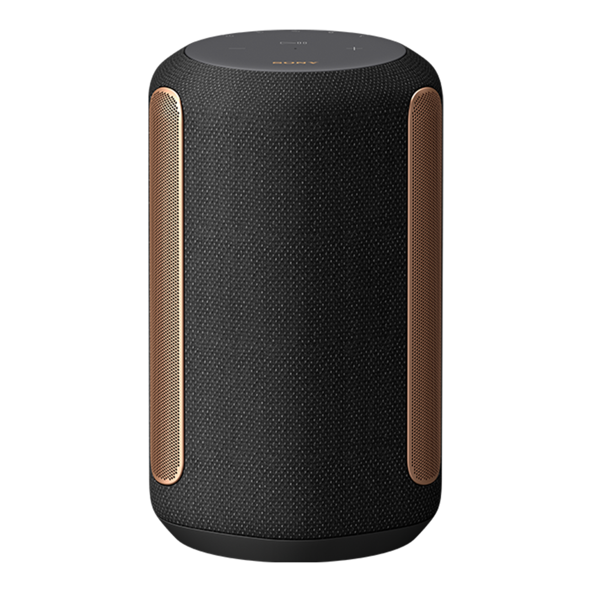 RA3000 Wi-Fi Enabled 360 Reality Audio Speaker