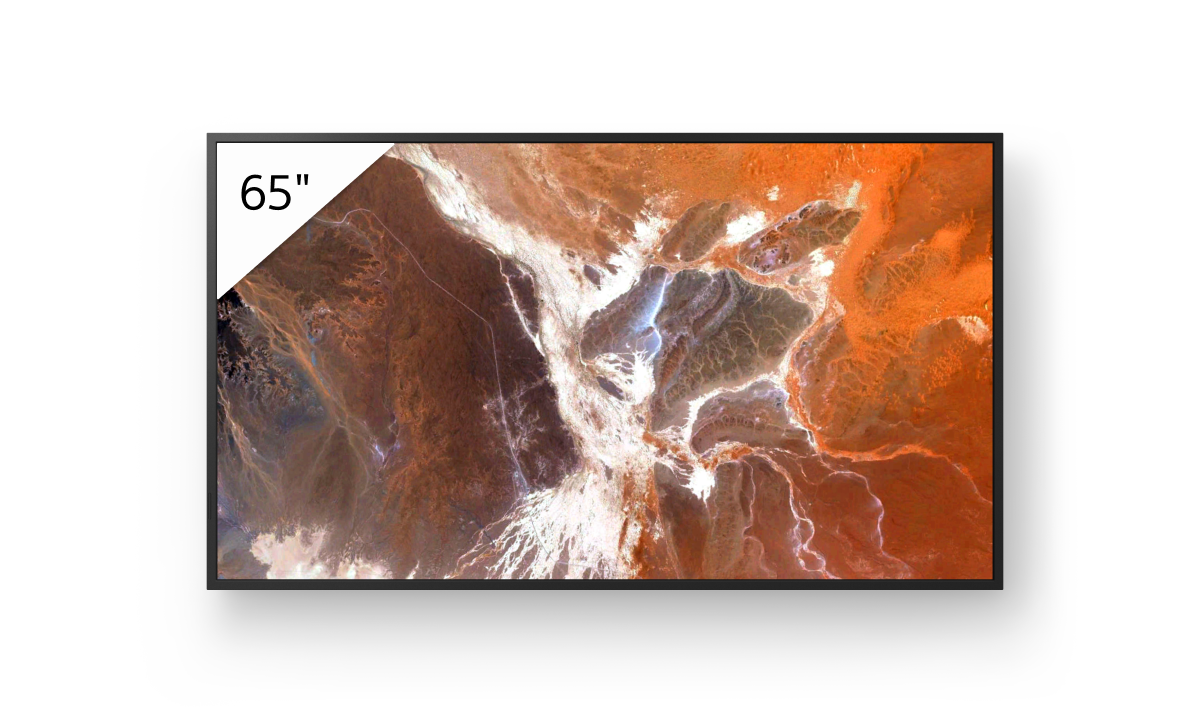 FW-65BZ30P Professional Display - Sony Pro
