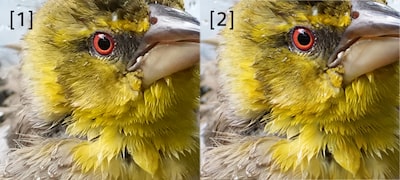 Three composite RAW modes