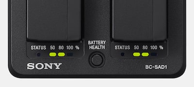 Charge and health status indicators