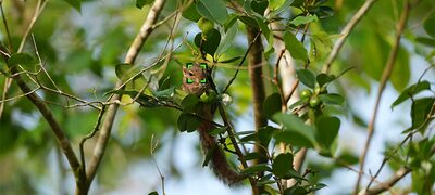 Feature-benefits