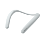 Sony Product Model NumberSRS-NB10 