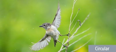 Được tối ưu hóa riêng để có hiệu ứng bokeh tinh tế