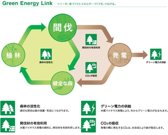 Green Energy Link