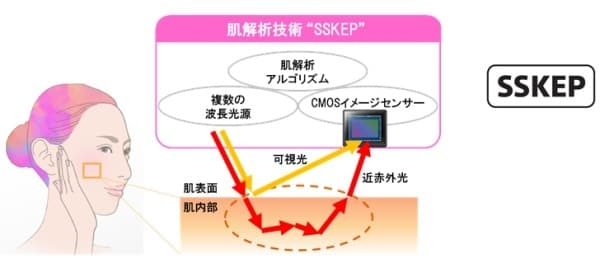 肌解析技術 “SSKEP”のイメージ図