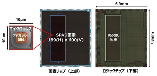 本開発品の構造図
