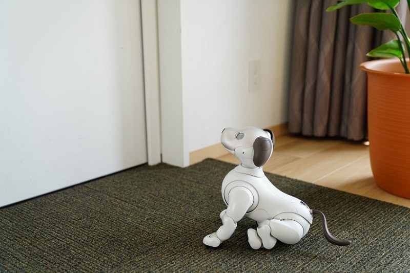 ソニーグループポータル ニュースリリース Aibo アイボ 地図を使う新機能 Aiboのなわばり の提供を開始