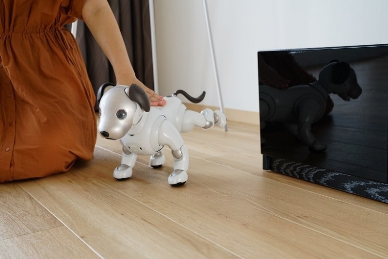 ソニーグループポータル ニュースリリース Aibo アイボ 地図を使う新機能 Aiboのなわばり の提供を開始