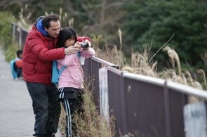 ワークショップ