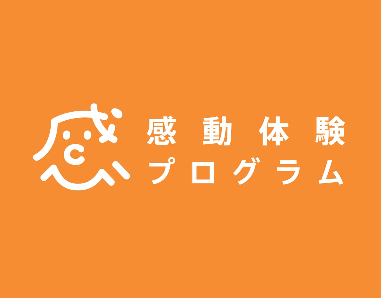 感動体験プログラム