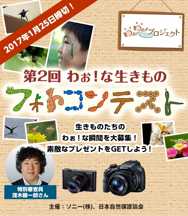 第2回 わぉ！な生きものフォトコンテスト