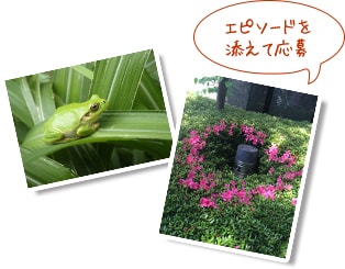 エピソードを添えて応募