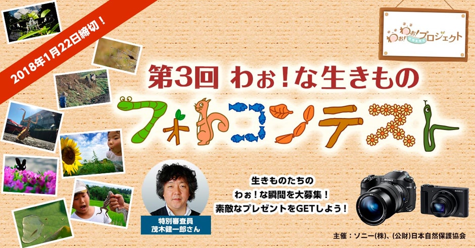 第3回 わぉ！な生きものフォトコンテスト