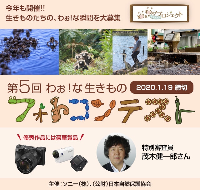 第5回 わぉ！な生きものフォトコンテスト