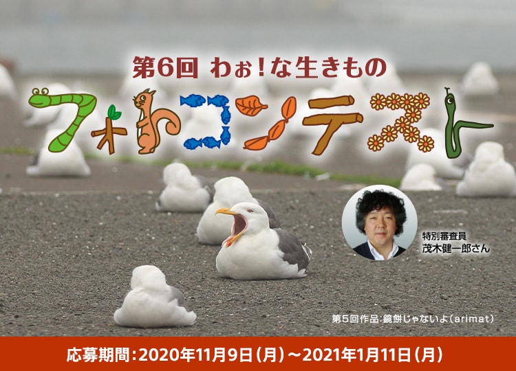 第6回 わぉ!な生きものフォトコンテスト