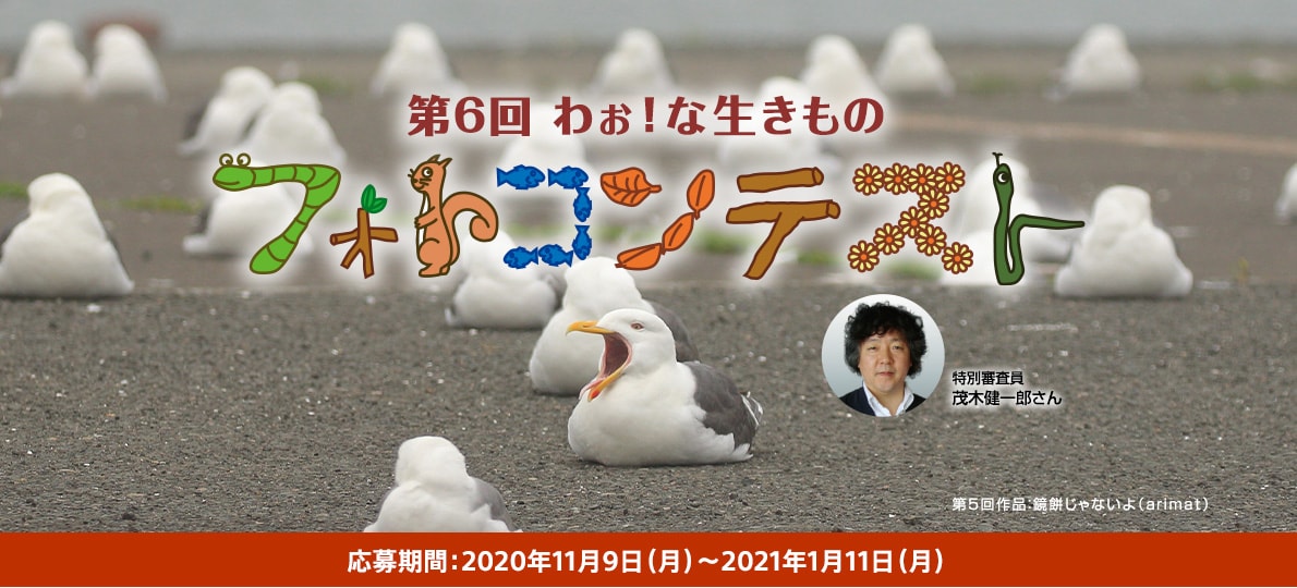 第6回 わぉ!な生きものフォトコンテスト