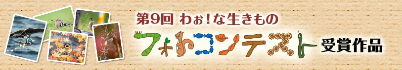 第9回 わぉ！な生きものフォトコンテスト 受賞作品