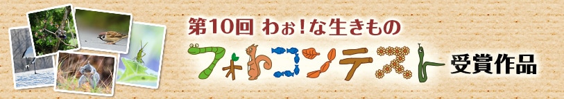第10回 わぉ！な生きものフォトコンテスト 受賞作品