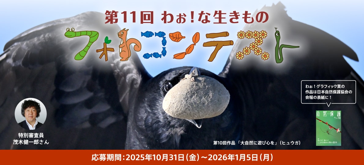第11回 わぉ！な生きものフォトコンテスト