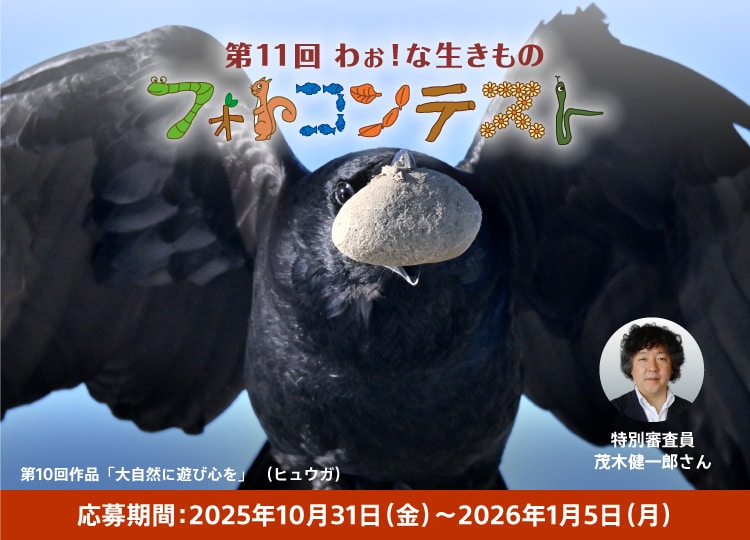 第11回 わぉ！な生きものフォトコンテスト