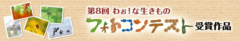 第8回 わぉ！な生きものフォトコンテスト 受賞作品