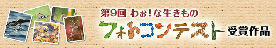 第9回 わぉ！な生きものフォトコンテスト 受賞作品
