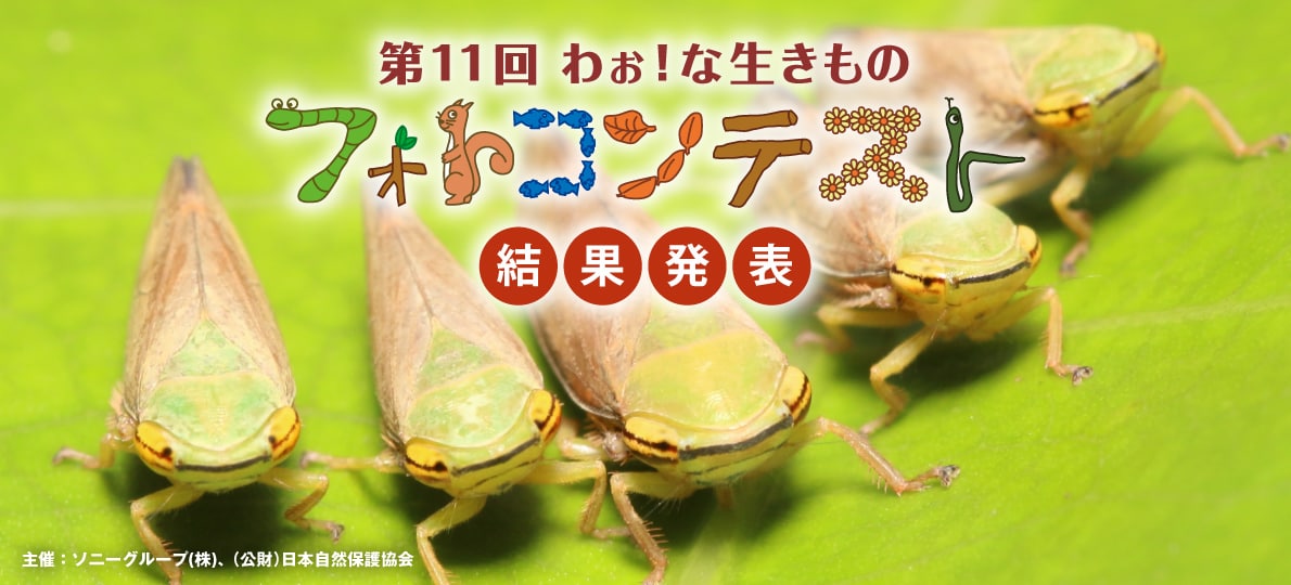 第11回 わぉ！な生きものフォトコンテスト 結果発表