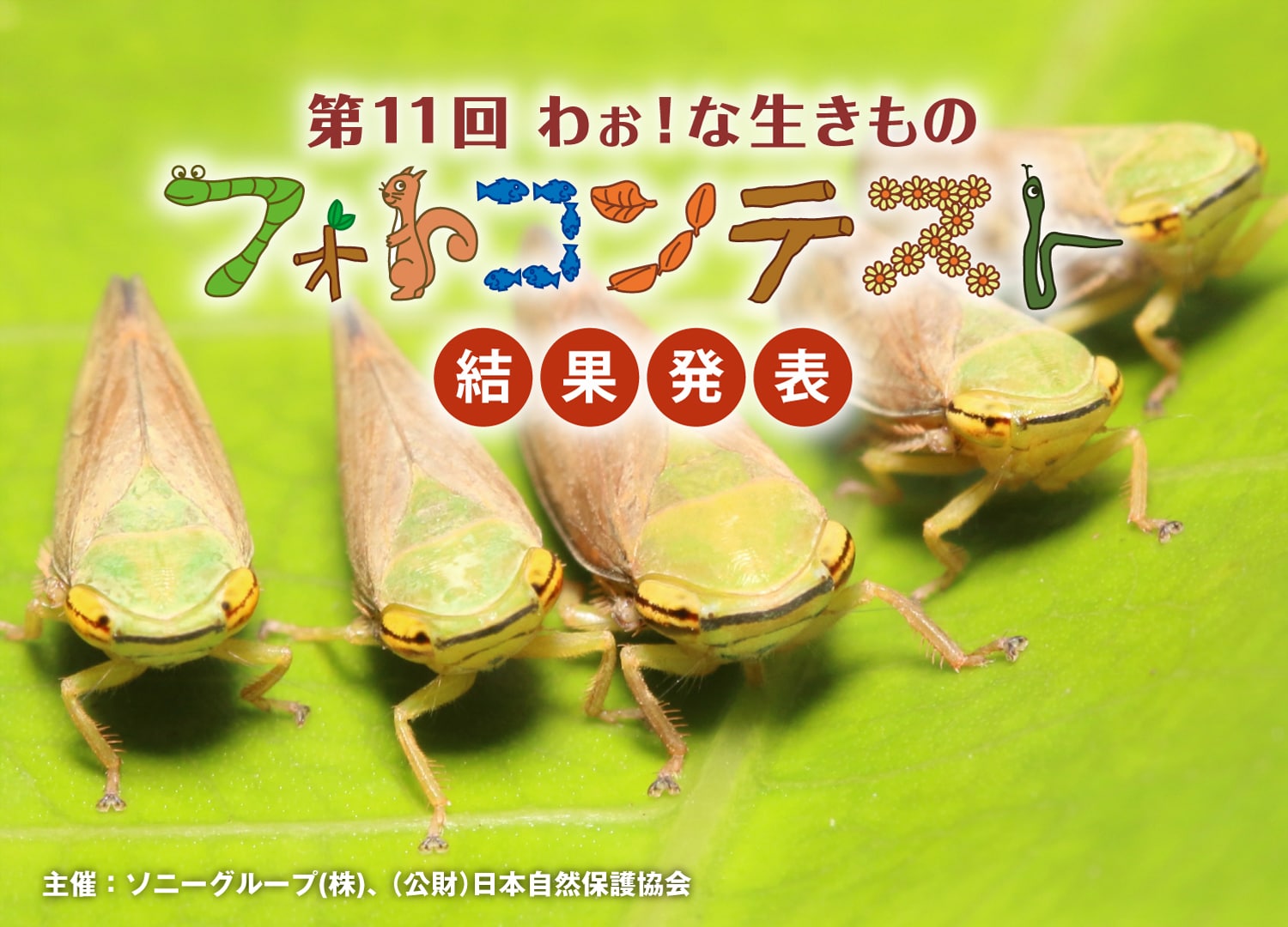 第11回 わぉ！な生きものフォトコンテスト 結果発表